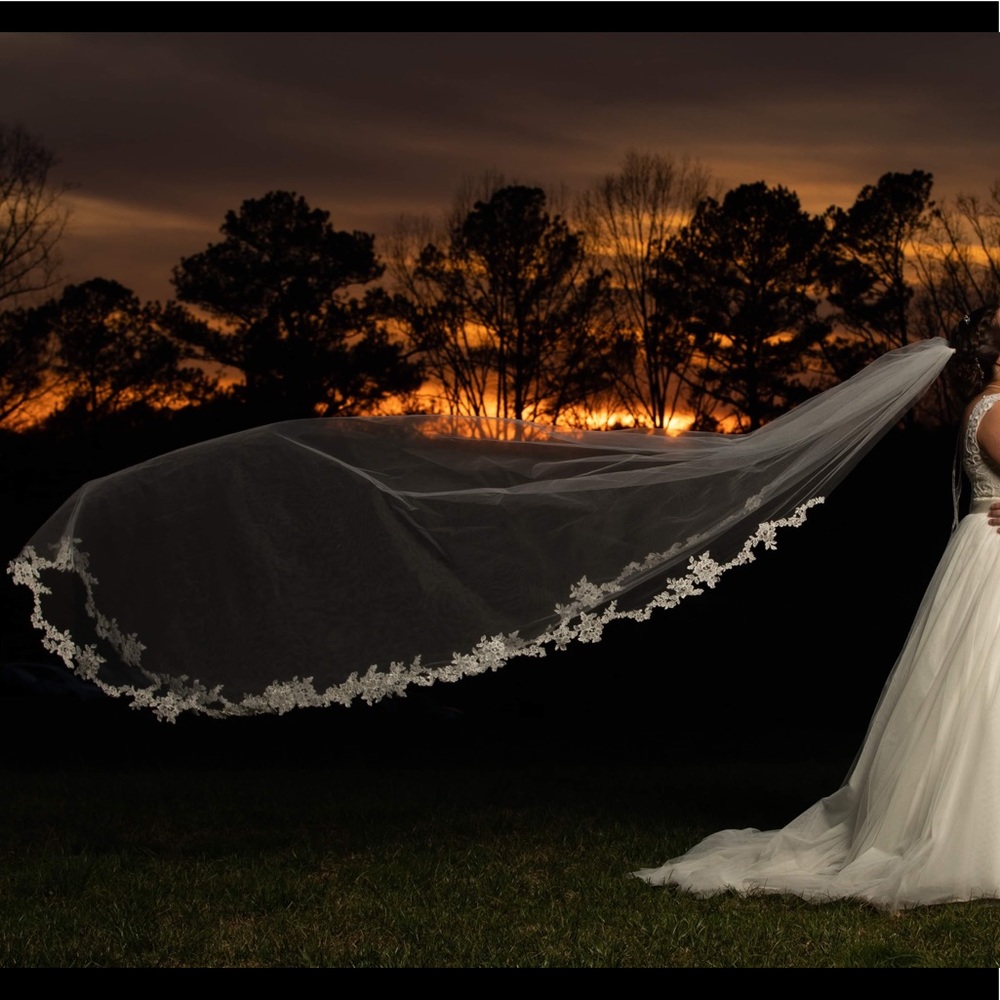 David’s bridal lace edge cathedral veil